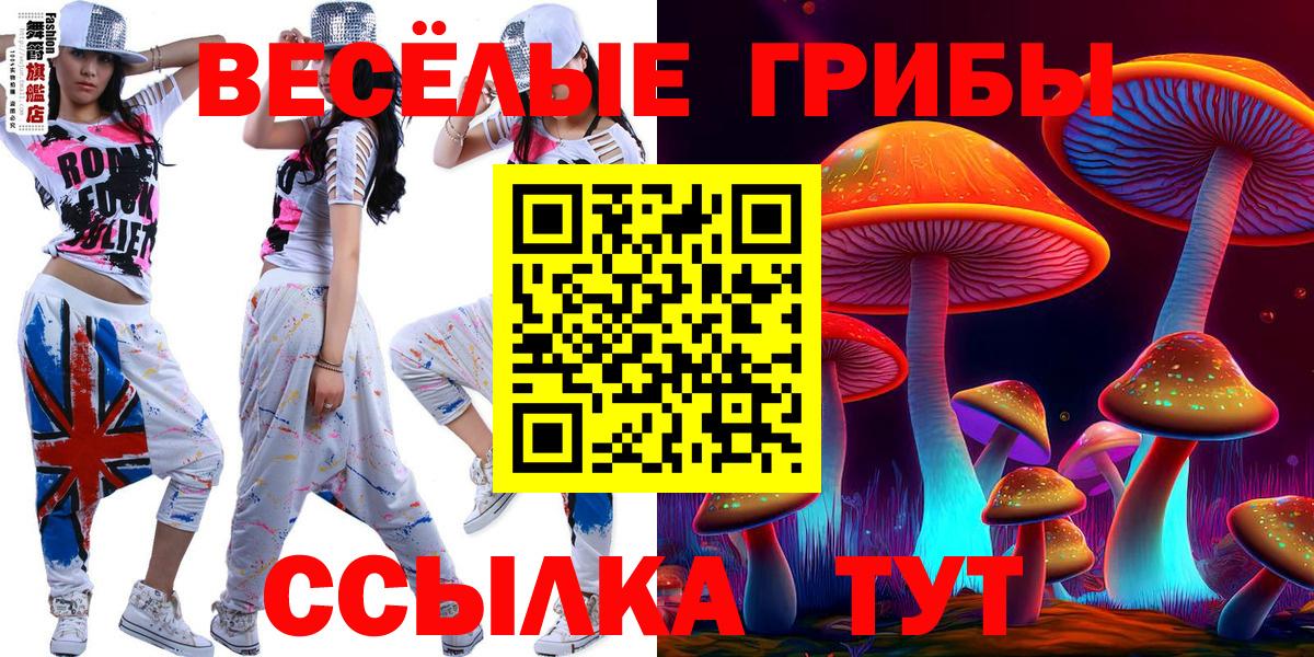 Псилоцибиновые грибы ЛСД Геленджик