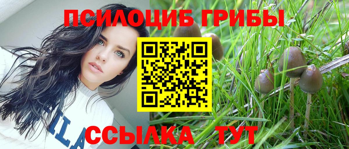 Псилоцибиновые грибы Magic Shrooms  Галлюциногенные грибы Cubensis  Вход с VPN  где можно купить наркотик  Геленджик 